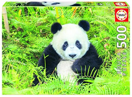 Educa Panda Bear 6 - 8+ Yaş Küçük Boy Puzzle 500 Parça