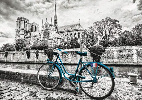 Educa 500 Parça Notre Dame ve Yeşil Bisiklet Puzzle