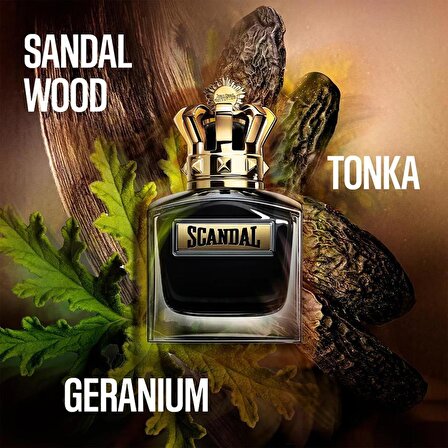 Jean Paul Gaultier Scandal Le Parfum EDP 100 ml Erkek Parfüm
