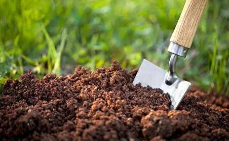 Çim Kapak Toprağı 2 Kg Gübreli Toprak Çim Ekim Toprağı Çim Örtü Toprağı