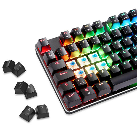 GamePower Ogre RGB 60M Blue Switch Türkçe Q USB Mekanik Gaming Klavye