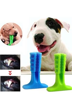 SEFAM HOME Köpek Diş Temizleyici ve Kaşıyıcı Sağlıklı Küçük Boy Oyuncak