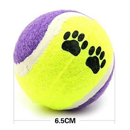 SEFAM HOME  3lü Renkli Desenli Tenis Topu Kedi Köpek Oyuncağı