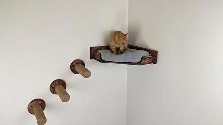 Ahşap Kedi Yatağı Kedi Yatak Merdiveni Merdivenli Kedi Yatağı Kedi Yatak Seti