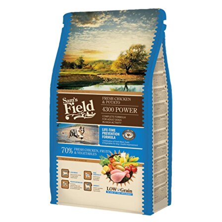 Sam's Field POWER4300 Tavuklu Patatesli Düşük Tahıllı Yetişkin Aktif Köpek Maması 13 KG