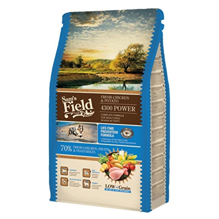 Sam's Field Power 4300 Tavuklu Patatesli Düşük Tahıllı Yetişkin Aktif Köpek Maması 2,5 Kg