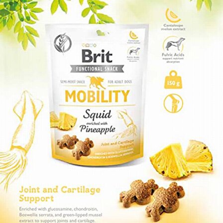 Brit Care Mobility Ananas - Kalamarlı Yetişkin Ödül Maması 150 gr 