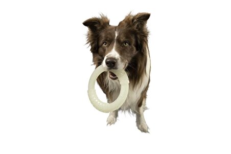 Kiwi Walker Fosforlu Dayanıklı Yüzen Köpek Oyuncağı Maxi Halka