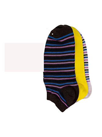 SRFN Kadın Patik Çorap 3 lü  Çizgili  Desen
