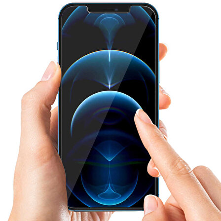 Apple iPhone 12 Uyumlu Araree Subcore Temperli Ekran Koruyucu