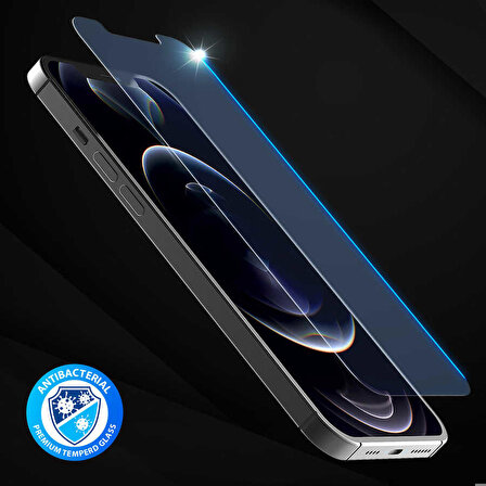 Apple iPhone 12 Pro Uyumlu Araree Subcore Temperli Ekran Koruyucu