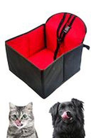 Catwar Kırmızı Oto Kedi Küçük Irk Köpek Taşıma Güvenlik Çantası Mavi