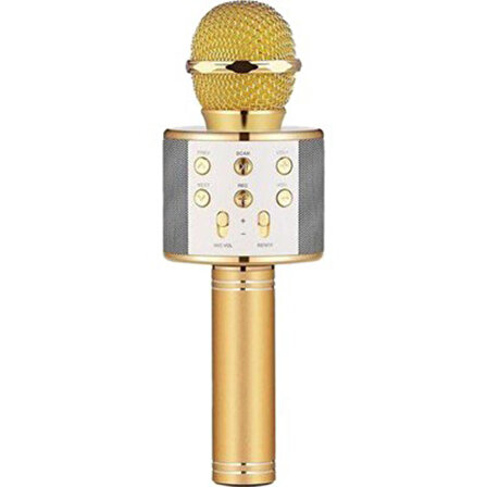 Global UsbA+TF Sd Kart+3.5mm Aux Girişli Bluetooth Karaoke Mikrofonu Gold WNE0070