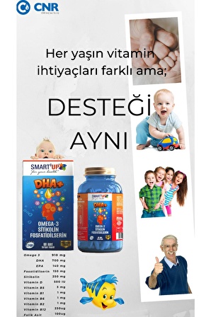 SMART UP Sitikolin Dha Omega 3 ve Fosfatidilserin iceren Balık Yağı B12  ( 60 Kapsül )