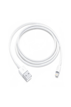 Apple USB-C - Lightning Kablosu (1 m)
