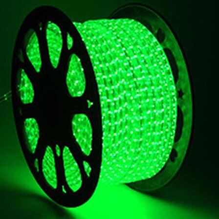 Neon Led Yeşil Renk 5 metre -12 Volt Uyumlu