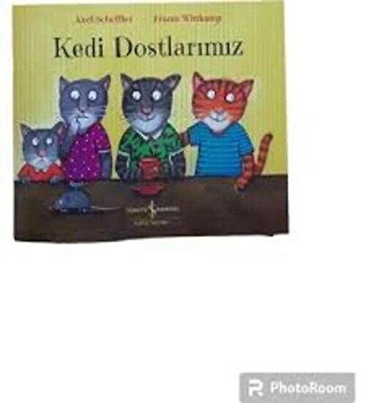 Yavru Tilkinin İlk Yazı - Kedi Dostlarımız - Bir Fikrim Var 3 kitap