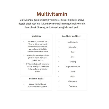 WiseLab Multivitamin Bitkisel 30 Bitkisel Kapsül