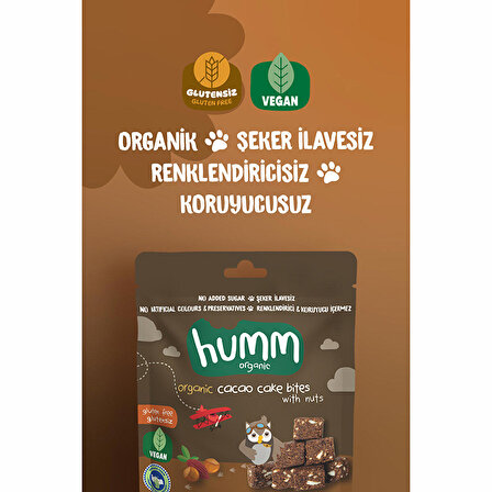 humm organic Organik Glutensiz Vegan Kakaolu ve Fındıklı Kek 30 gr