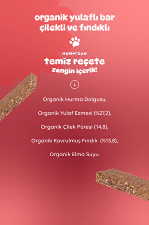 Organik Vegan Çilekli Ve Fındıklı Yulaf Bar - 27g
