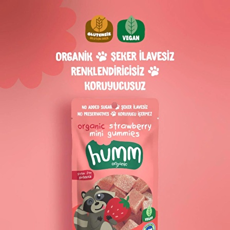 Organik Glutensiz Vegan Çilekli Mini Küpler - 30g