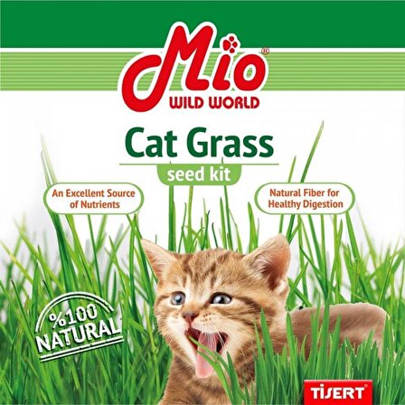 Mio Doğal Kedi Çimi (Fileli)