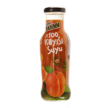 HAMMM Kayısı Suyu 250 ml