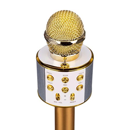 Asonic AS-M09 Siyah,Gold,Pembe Karaoke Mikrofon