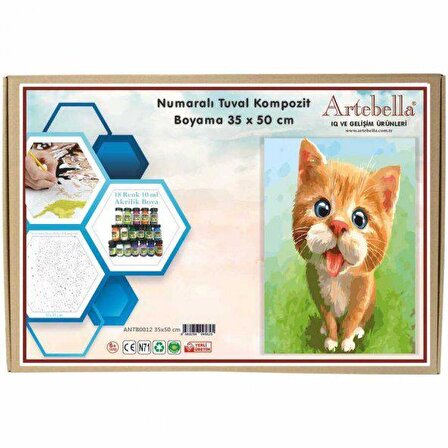 Artebella 35x50 Numaralı Kompozit Tuval Boyama kedi