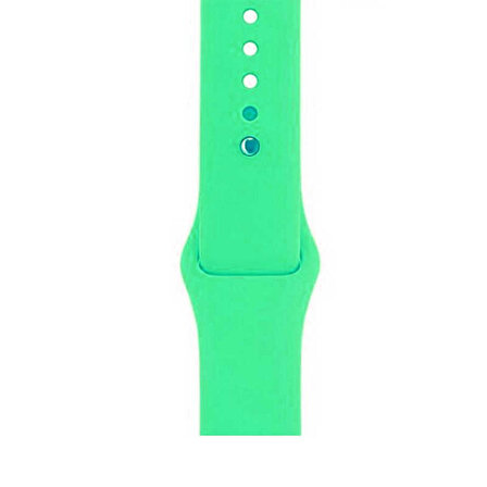 Apple Watch ile Uyumlu 42mm Silikon Kayış Su Yeşili