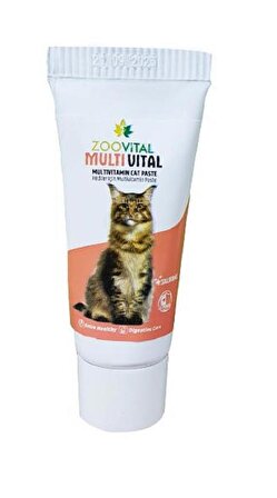 Zoovital 13 Effects Multivitamin Kedi Macun Paste 30 Gr