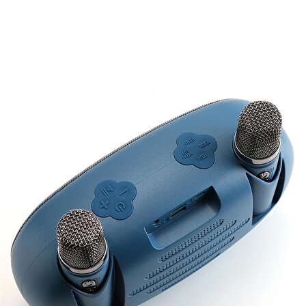 T&G TG542DK Taşınabilir 2 Mikrofonlu Led Işıklı Karaoke Wireless Hoparlör