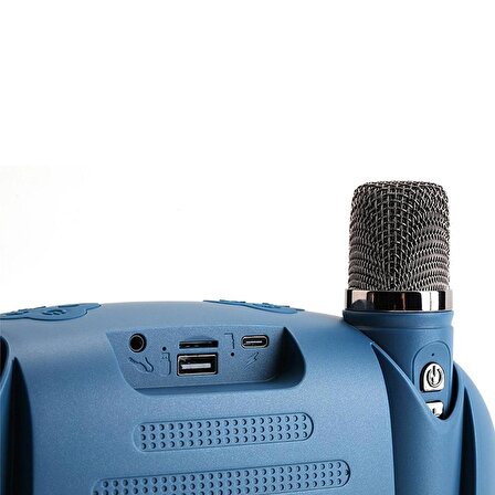 T&G TG542DK Taşınabilir 2 Mikrofonlu Led Işıklı Karaoke Wireless Hoparlör