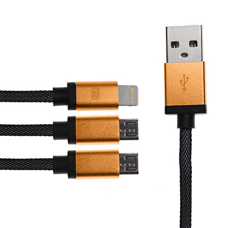 Earldom 2 adet Micro USB + 1 adet Lightning Şarj Kablosu 1.2 M Altın