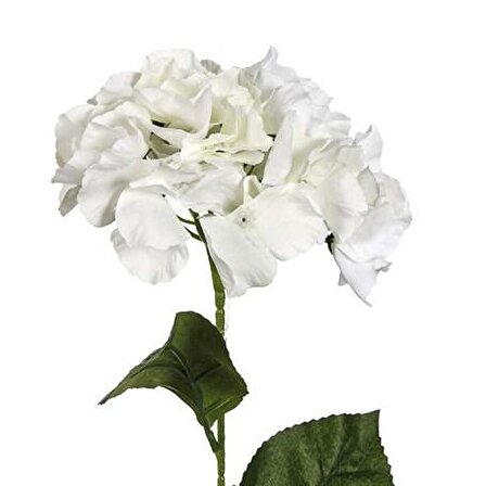 Vitale Ortanca Çiçeği Beyaz 60 cm AK.BG0134-B