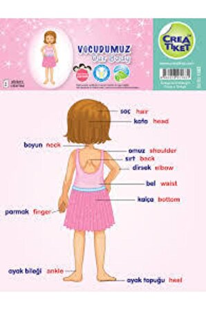 Crea Sticker Vücudumuz-Kız Çocuk Arkalı Önlü