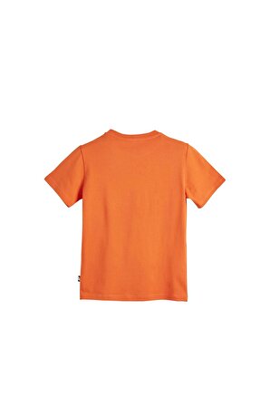 Bear Tee Kids Turuncu T-Shirt Çocuk Tişört