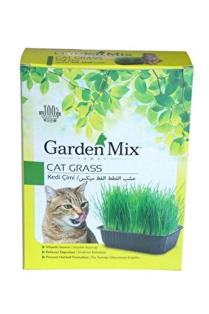 Gardenmix Büyük Kutu Kedi Çimi