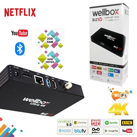 Wellbox BİZ10 4K Android Tv Box Uydu Alıcısı Wifi 2Gb Ram 16Gb Hafıza