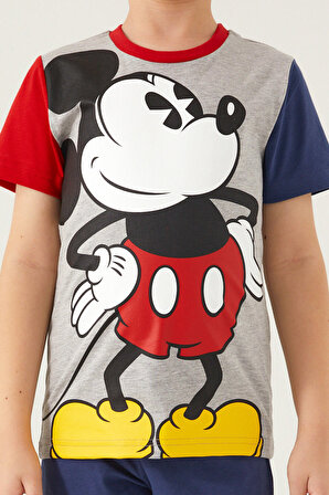 Mickey Mouse Mouse Gri Melanj Erkek Çocuk Kapri Takım