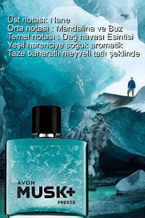 Avon Musk+ Freeze ve Mineralis Erkek Parfüm Paketi