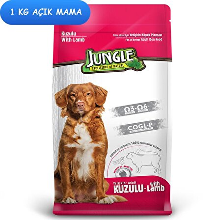 Jungle Kuzu Etli Küçük Irk Yetişkin Açık Kuru Köpek Maması 1 kg