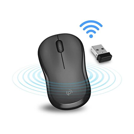 Polosmart PSWM11 Kablosuz Sessiz Mouse Siyah