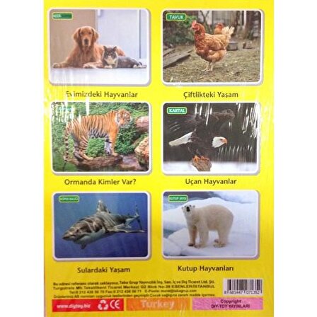Diytoy İlk 50 Hayvan Flash Cards Hafıza Kartları Orijinal Ürün
