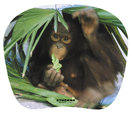 Tucano MPBOX-REF-28 Natura Serisi Mouse Pad - Yavru Maymun