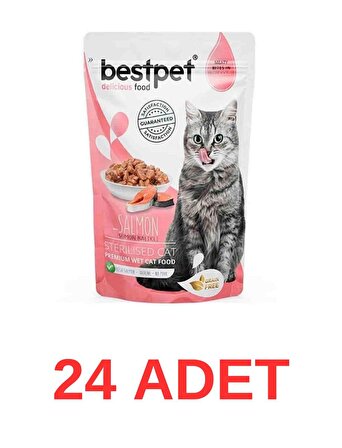 BestPet Jelly Pouch Somonlu Kısırlaştırılmış Yetişkin Kedi Konservesi 85 Gr 24 Adet