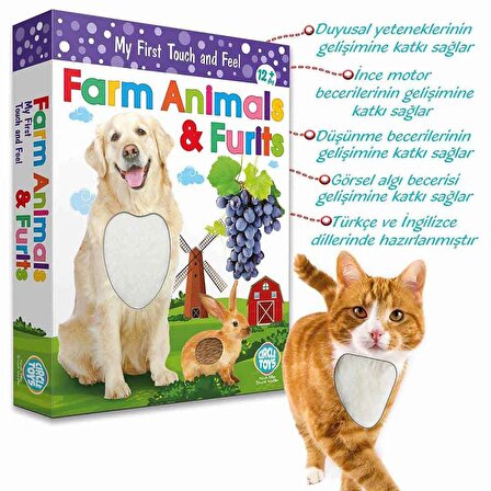 Circle Toys Dokun Hisset Farm Animals (Çiftlik Hayvanları Ve Meyveler) CRCL044
