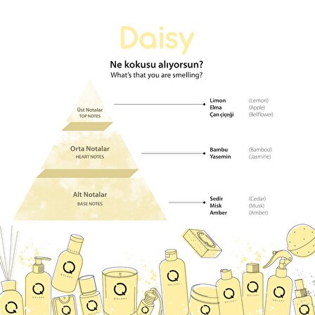 Daisy Çubuklu Oda ve Araba Parfüm Yedek Dolum Şişe 150 ml - Refill