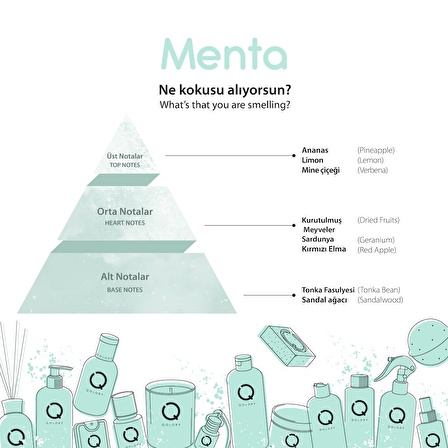 Menta Çubuklu Oda ve Ortam Kokusu 100 ml - Reed Diffuser