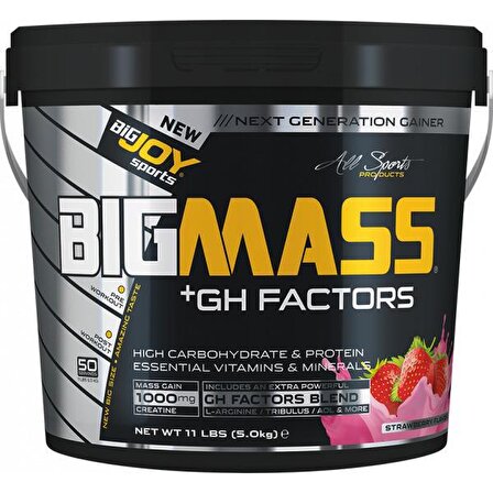 Big Joy Big Mass +GH Factors 5000 Gr Çilekli